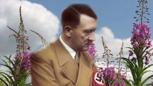 Почему Гитлер уничтожил фабрику по производству иван-чая?
