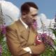 Почему Гитлер уничтожил фабрику по производству иван-чая?