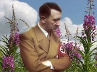 Почему Гитлер уничтожил фабрику иван-чая