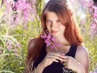 Полезные свойства и противопоказания иван-чая
