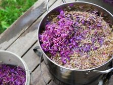 Как сделать сок из иван-чая